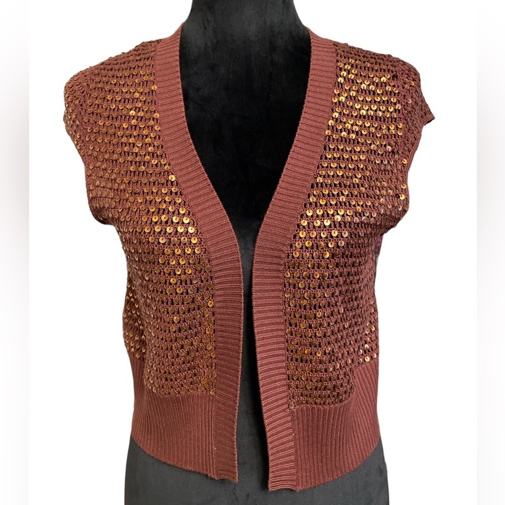 Necessary Objects, Silk Brown Shaw with Sequin Design, Size L